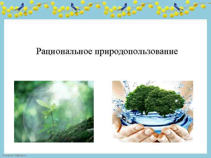 Виды рационального природопользования. Рациональное природопользование картинки. Листовка рациональное природопользование. Мой личный вклад в рациональное природопользование. Слоган рациональное природопользование.