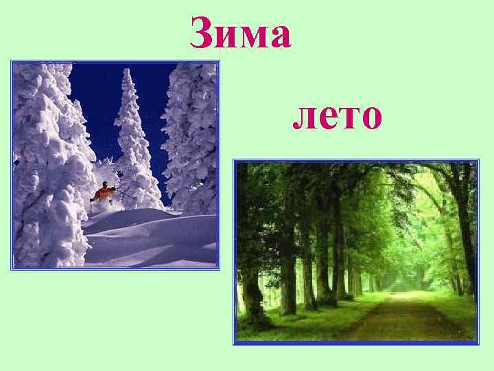 Зима лето 