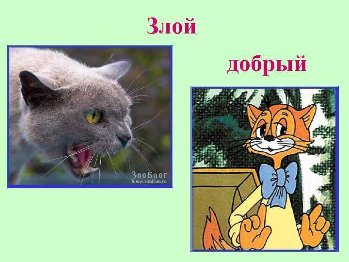 Злой добрый 