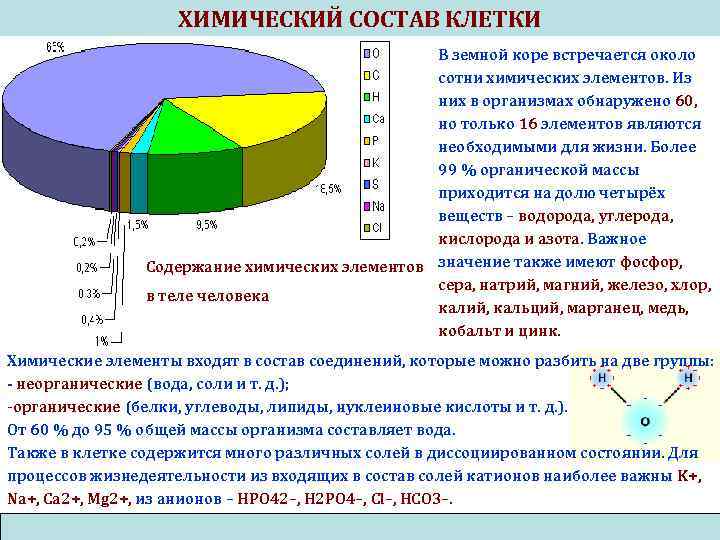 ХИМИЧЕСКИЙ СОСТАВ КЛЕТКИ В земной коре встречается около сотни химических элементов. Из них в