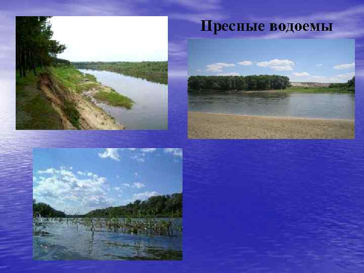 Пресные водоемы 