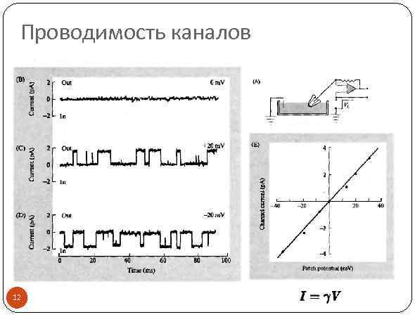 Проводимость каналов 12 
