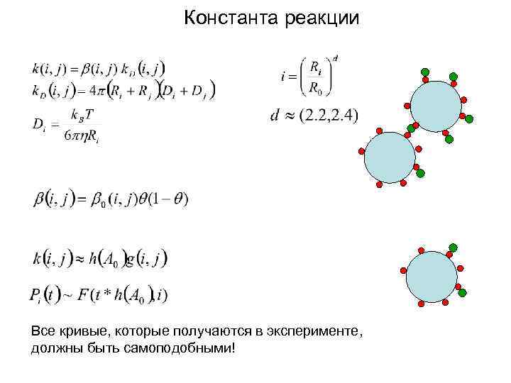 Константа реакции Все кривые, которые получаются в эксперименте, должны быть самоподобными! 