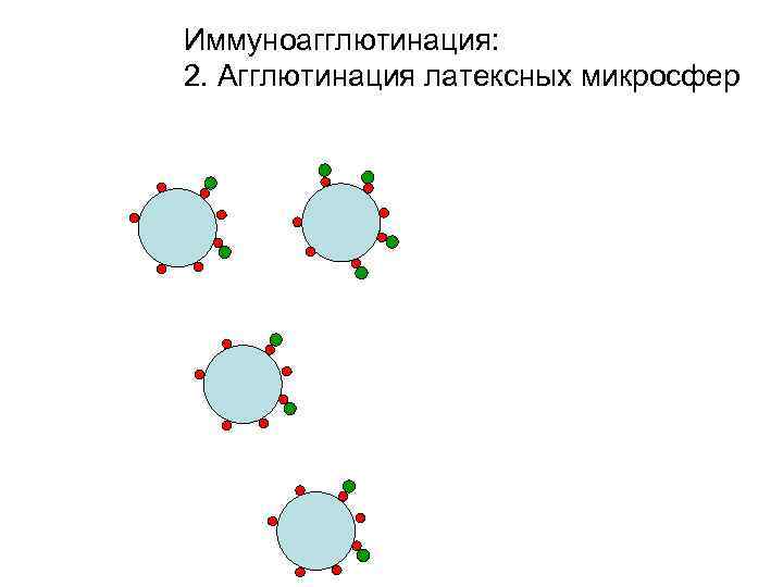 Иммуноагглютинация: 2. Агглютинация латексных микросфер 