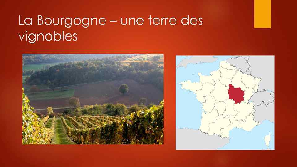 La Bourgogne – une terre des vignobles 