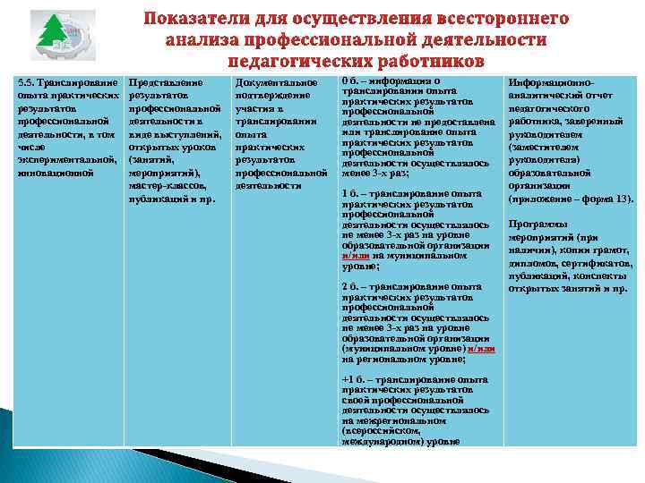 5. 5. Транслирование опыта практических результатов профессиональной деятельности, в том числе экспериментальной, инновационной Представление