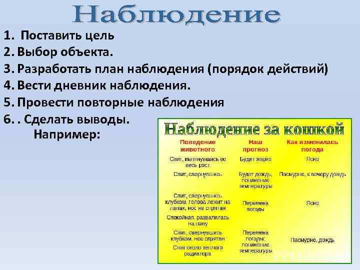 Наблюдение действия. План наблюдения цель. Цель и объекты наблюдения. Цель наблюдения примеры. Наблюдение цели предмет объект пример\.