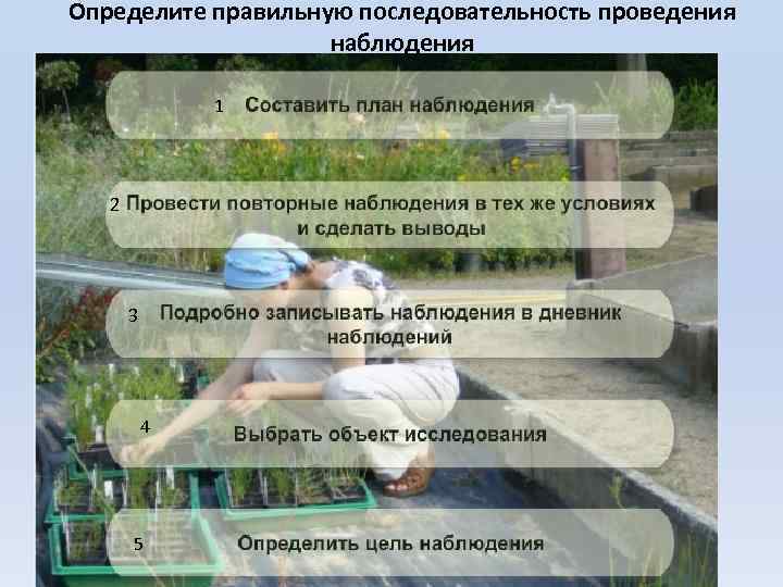 Определите правильную последовательность проведения наблюдения 1 2 3 4 5 