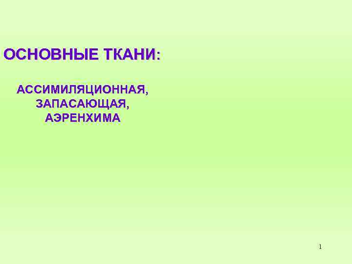 ОСНОВНЫЕ ТКАНИ: АССИМИЛЯЦИОННАЯ, ЗАПАСАЮЩАЯ, АЭРЕНХИМА 1 