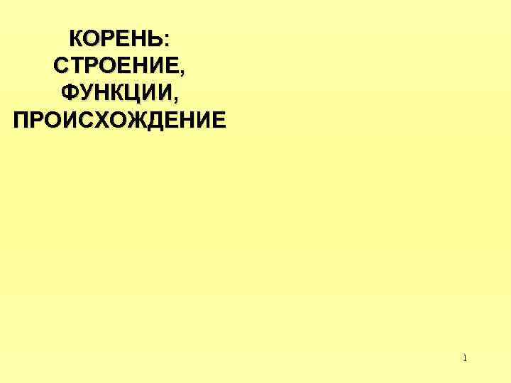 КОРЕНЬ: СТРОЕНИЕ, ФУНКЦИИ, ПРОИСХОЖДЕНИЕ 1 