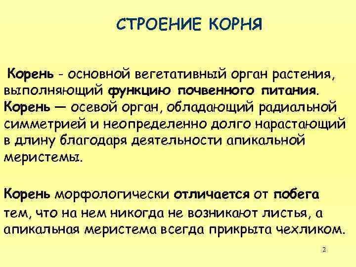 СТРОЕНИЕ КОРНЯ Корень - основной вегетативный орган растения, выполняющий функцию почвенного питания. Корень —