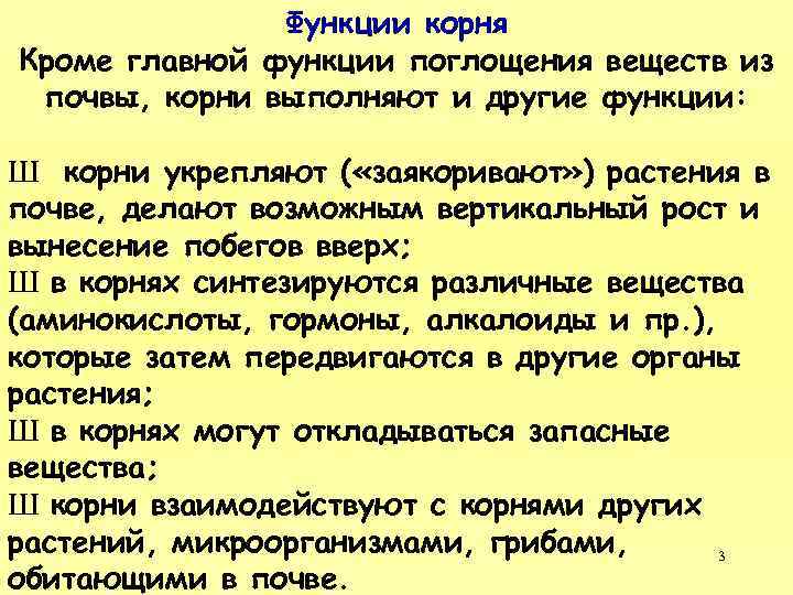 Функции корня Кроме главной функции поглощения веществ из почвы, корни выполняют и другие функции: