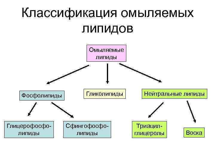 Классификация омыляемых липидов Омыляемые липиды Фосфолипиды Глицерофосфолипиды Гликолипиды Сфингофосфолипиды Нейтральные липиды Триацилглицеролы Воска 