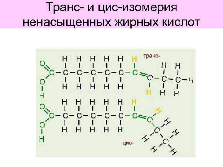 Транс- и цис-изомерия ненасыщенных жирных кислот 