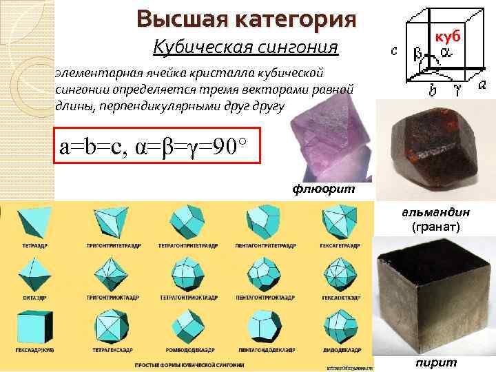 Форма кат