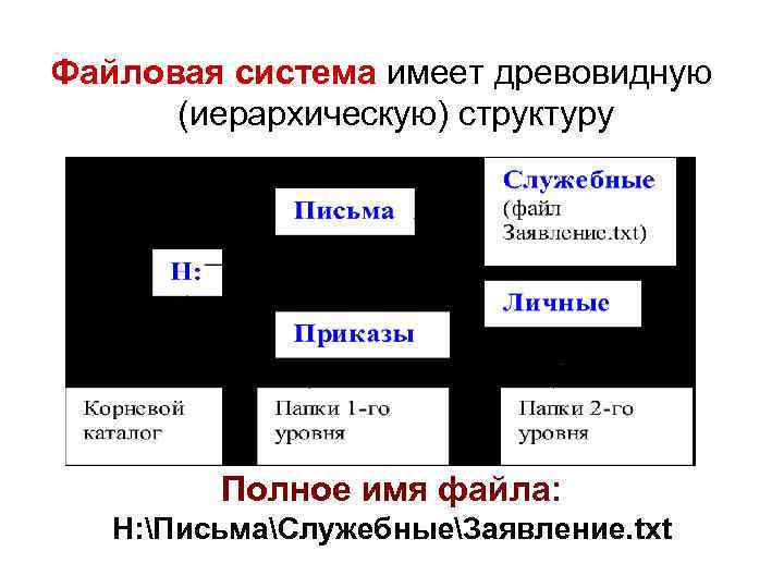Файловая система имеет древовидную (иерархическую) структуру Полное имя файла: Н: ПисьмаСлужебныеЗаявление. txt 