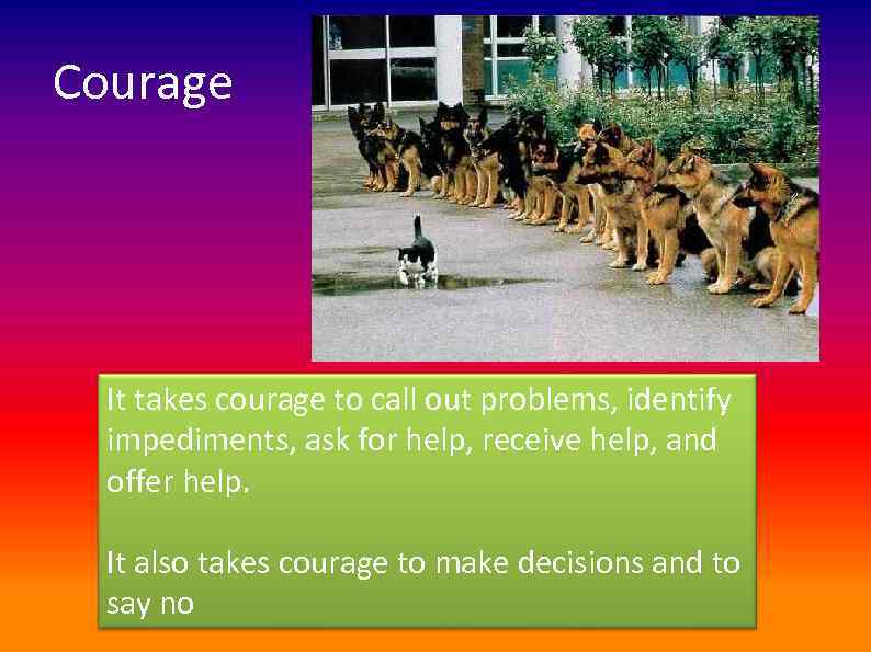 Courage It takes courage to call out problems, identify impediments, ask for help, receive