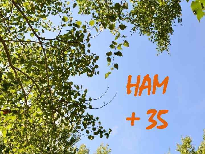 HAM + 35 