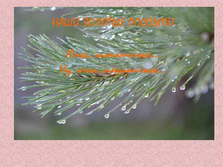 НАШИ ЗОЛОТЫЕ РОССЫПИ Юные, симпатичные… Ну, очень симпатичные… 