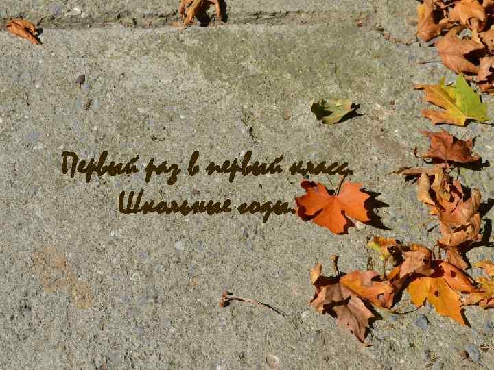 Первый раз в первый класс. Школьные годы. 