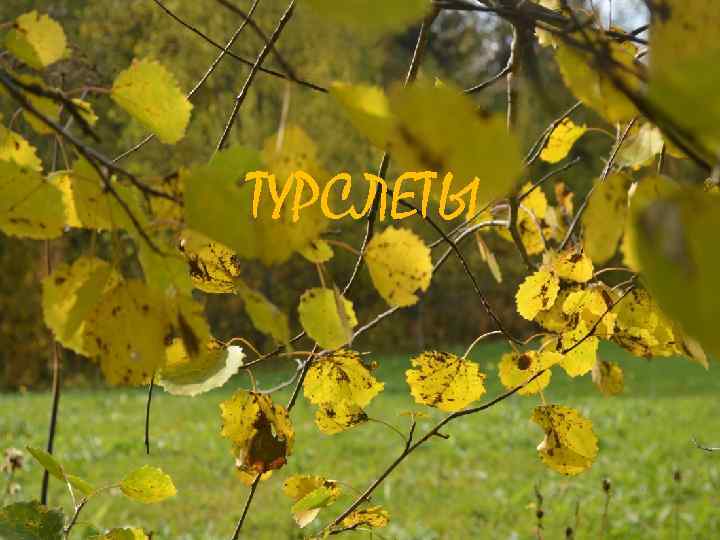 ТУРСЛЕТЫ 