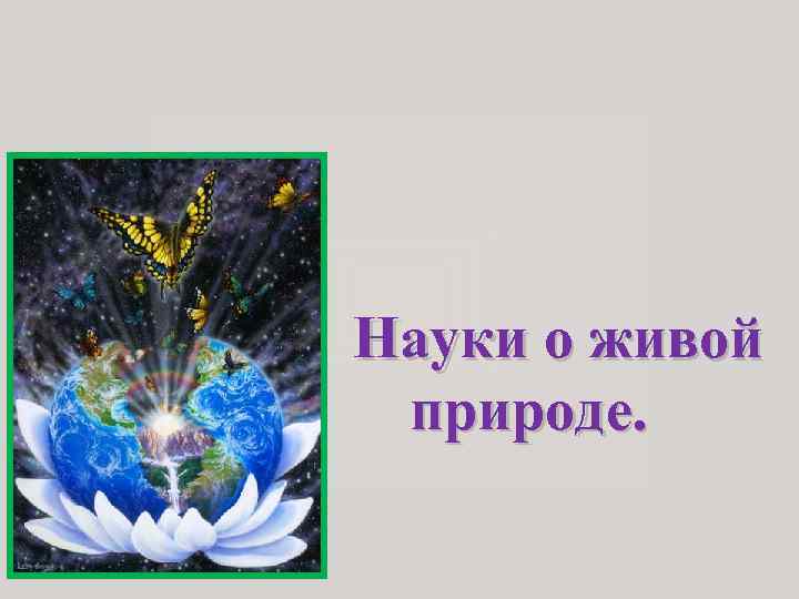 Науки о живой природе. 