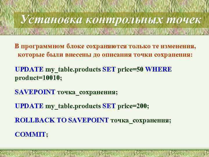 Установка контрольных точек В программном блоке сохраняются только те изменения, которые были внесены до