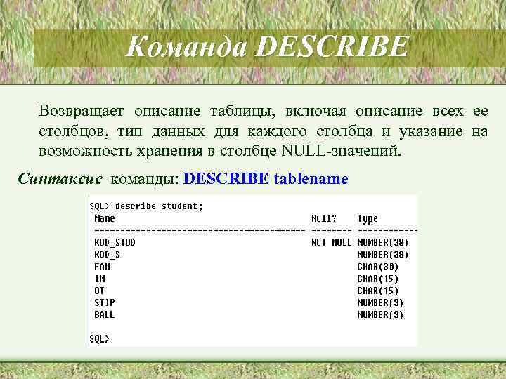 Команда DESCRIBE Возвращает описание таблицы, включая описание всех ее столбцов, тип данных для каждого