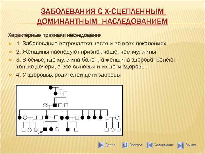 ЗАБОЛЕВАНИЯ С Х-СЦЕПЛЕННЫМ ДОМИНАНТНЫМ НАСЛЕДОВАНИЕМ Характерные признаки наследования 1. Заболевание встречается часто и во