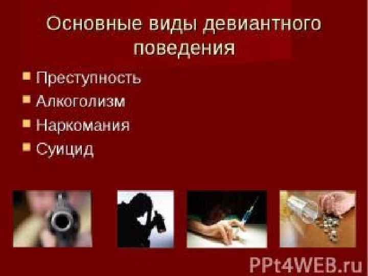 Социология презентация шаблон