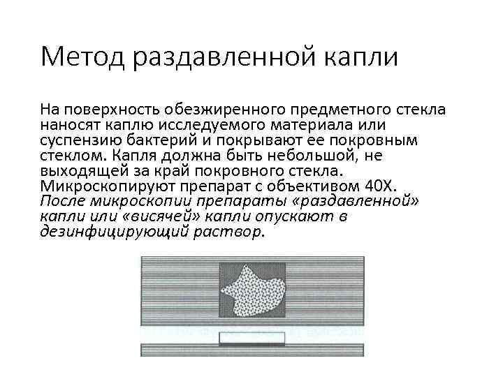 Почему важно накрыть препарат покровным стеклом именно так как показано на рисунке