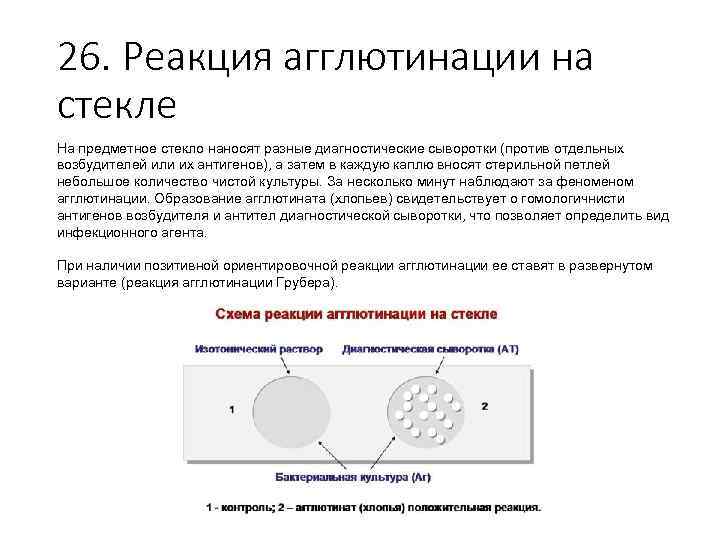 26. Реакция агглютинации на стекле На предметное стекло наносят разные диагностические сыворотки (против отдельных