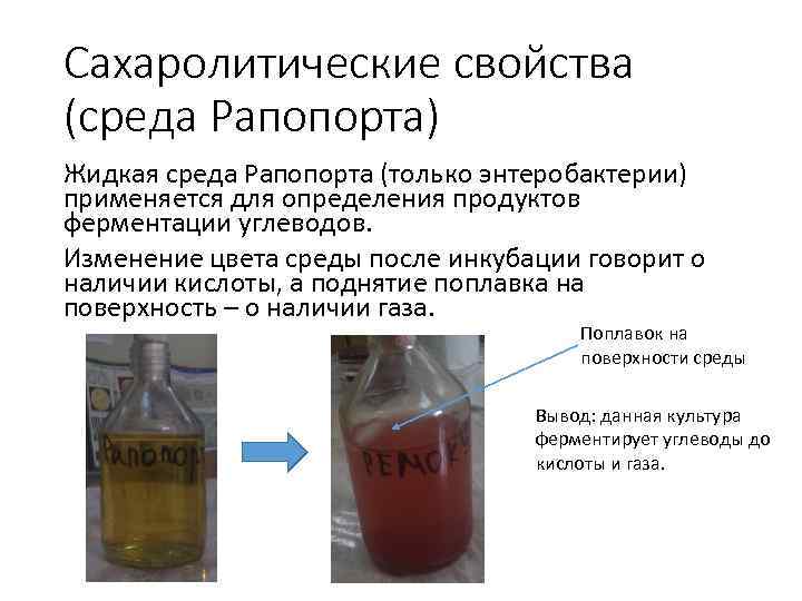 Сахаролитические свойства бактерий