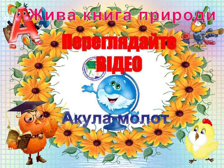 Жива книга природи Переглядайте ВІДЕО Акула-молот 