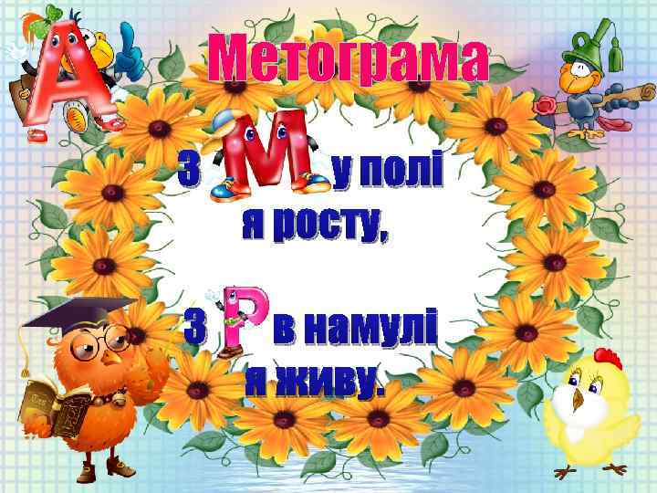 Метограма З у полі я росту, З в намулі я живу. 