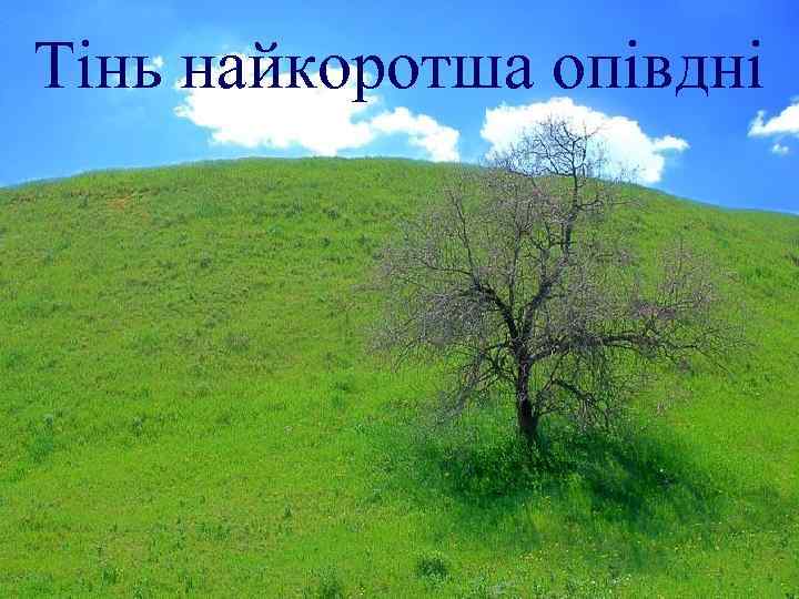 Тінь найкоротша опівдні 