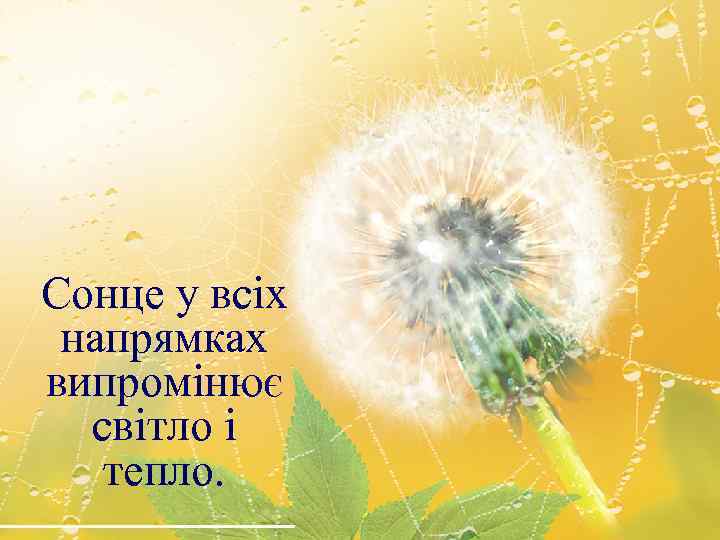 Сонце у всіх напрямках випромінює світло і тепло. 