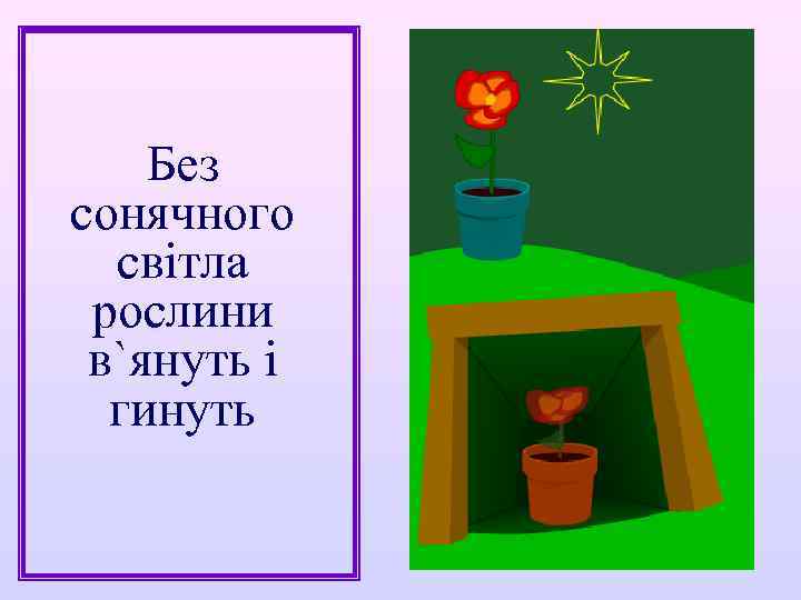 Без сонячного світла рослини в`януть і гинуть 
