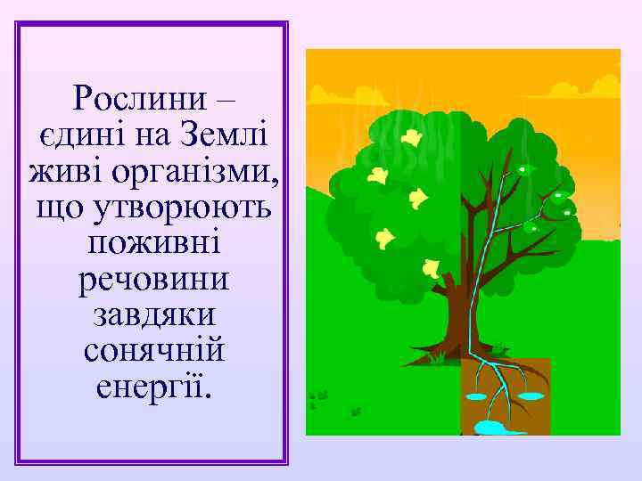Рослини – єдині на Землі живі організми, що утворюють поживні речовини завдяки сонячній енергії.