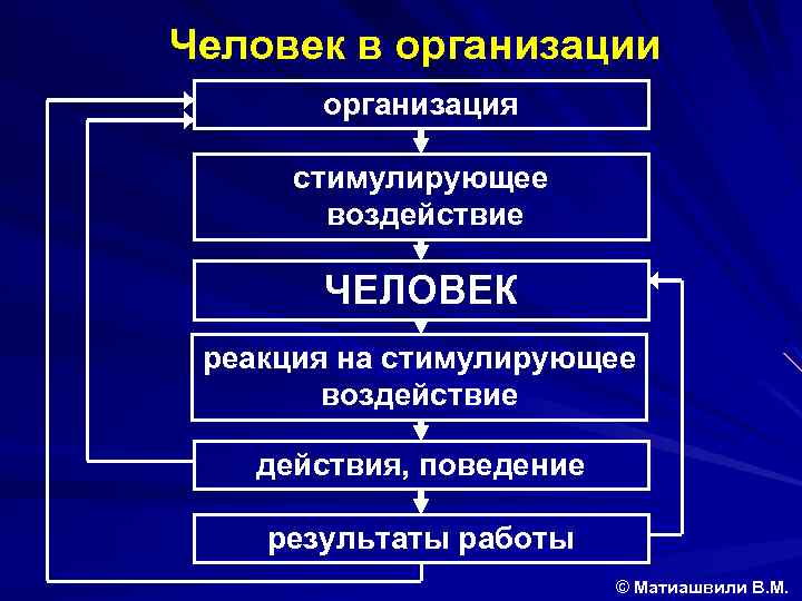 Человек в организации организация стимулирующее воздействие ЧЕЛОВЕК реакция на стимулирующее воздействие действия, поведение результаты
