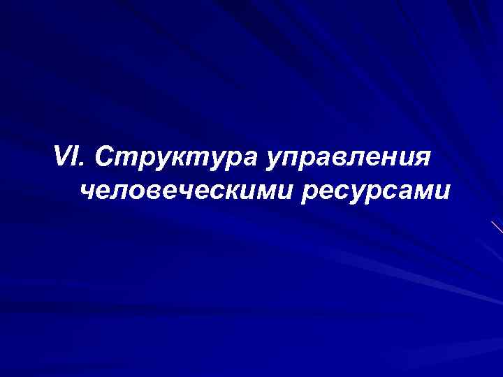 VI. Структура управления человеческими ресурсами 