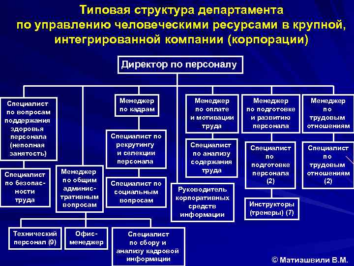Типовая структура департамента по управлению человеческими ресурсами в крупной, интегрированной компании (корпорации) Директор по