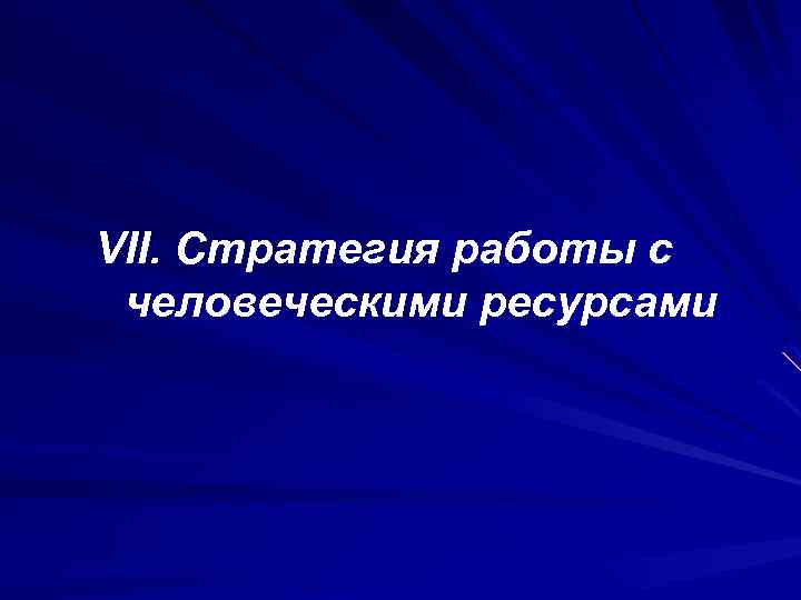 VII. Стратегия работы с человеческими ресурсами 