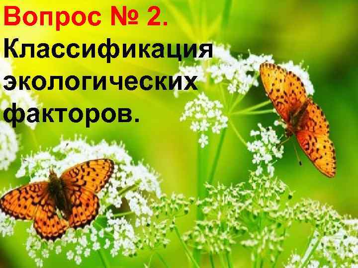 Вопрос № 2. Классификация экологических факторов. 
