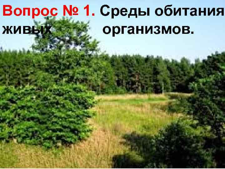 Вопрос № 1. Среды обитания живых организмов. 