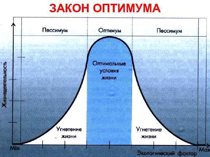 Закон оптимума схема