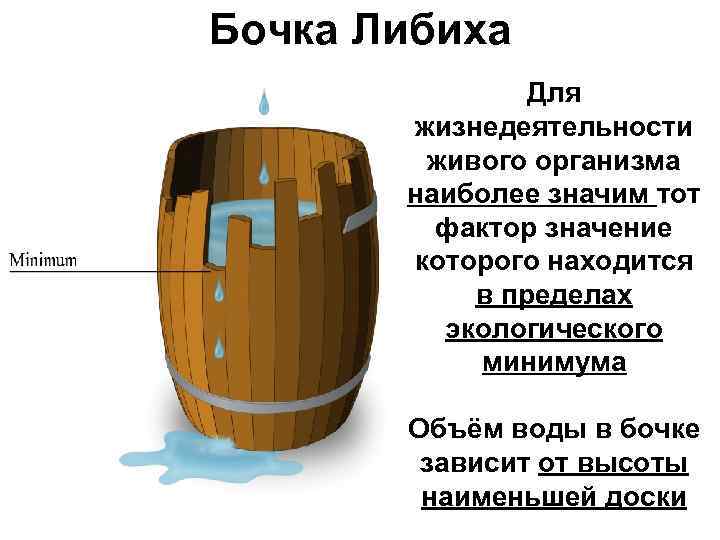 Бочка Либиха Для жизнедеятельности живого организма наиболее значим тот фактор значение которого находится в