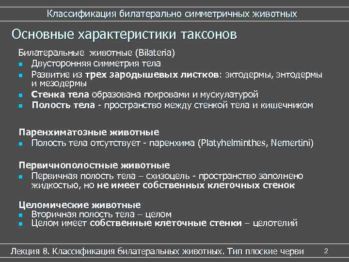 Классификация билатерально симметричных животных Основные характеристики таксонов Билатеральные животные (Bilateria) n Двусторонняя симметрия тела