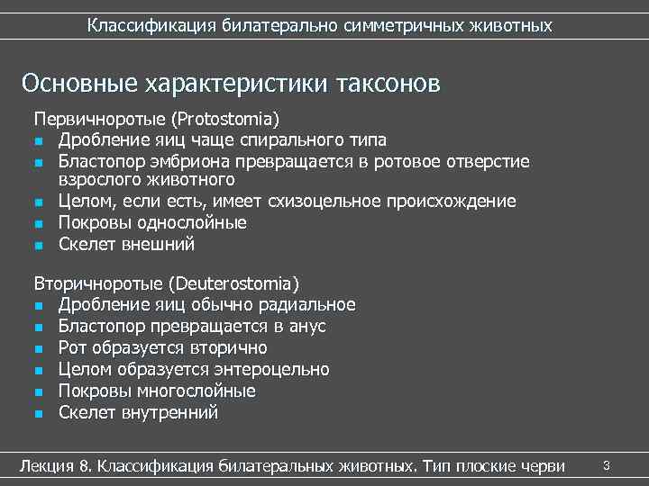 Классификация билатерально симметричных животных Основные характеристики таксонов Первичноротые (Protostomia) n Дробление яиц чаще спирального