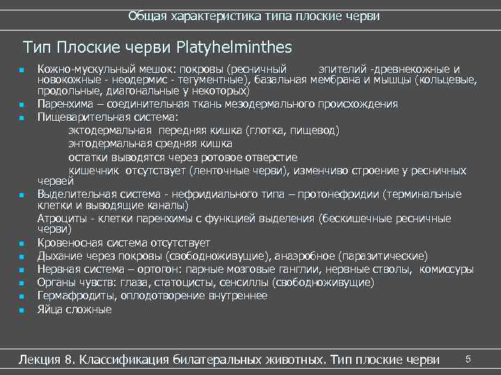 Общая характеристика типа плоские черви Тип Плоские черви Platyhelminthes n n n n n